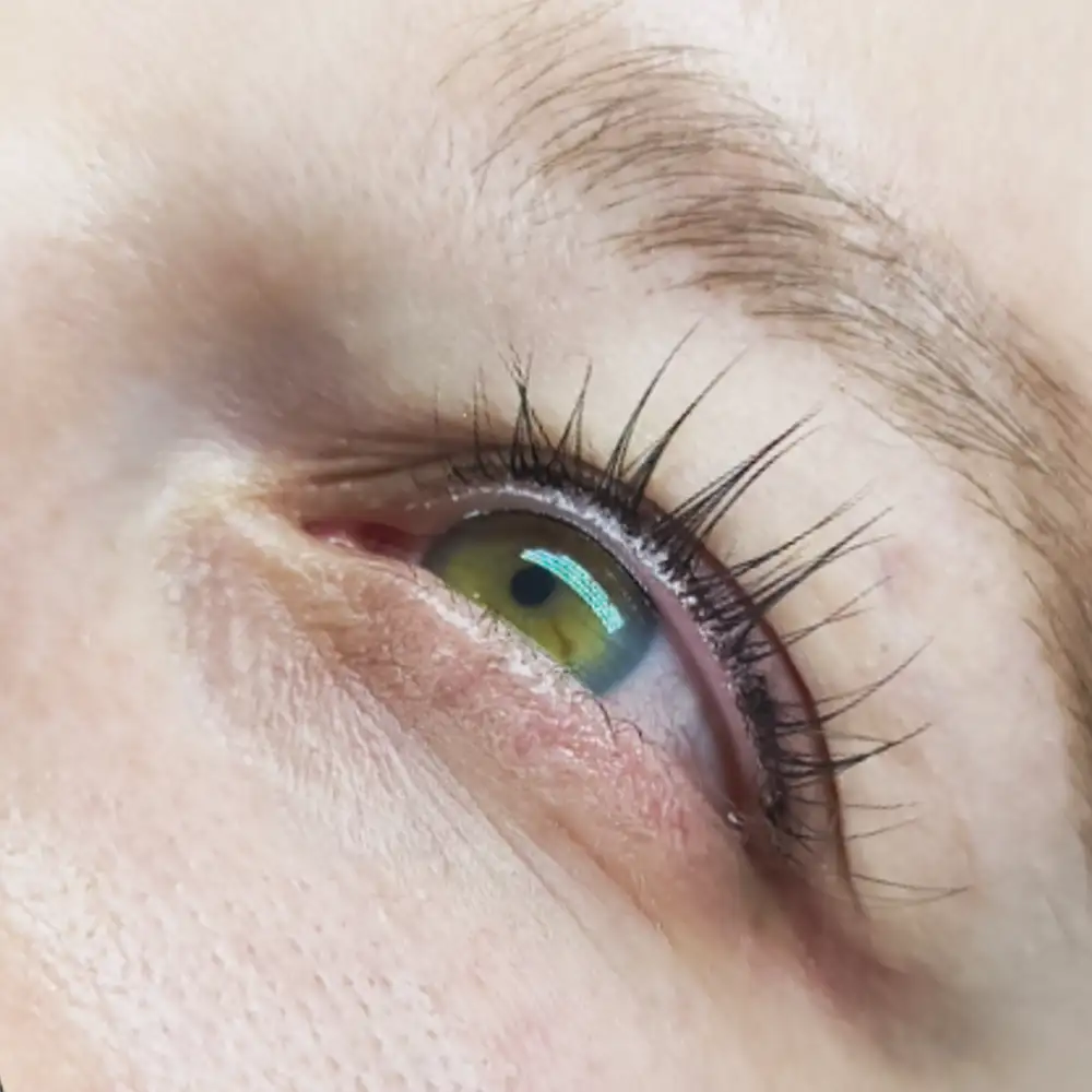Po ošetrení: Luxusný pohľad - trvalá mihalníc + farbenie a botox (LashLift) – Klientka, 31 r. — silný lifting mihalníc (3. pohľad)